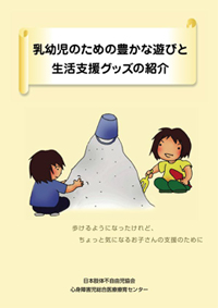 平成２０年度障害者保健福祉推進事業