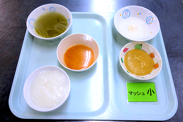 マッシュ食:粒の無いペースト状